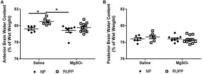 Magnesium Sulfate Prevents Placental Ischemia-Induced Increases in Brain Water Content and Cerebrospinal Fluid Cytokines in Pregnant Rats